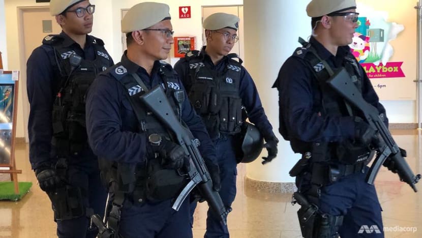 NDP 2018: New quick-reaction teams to patrol at National Day Parade for the first time
