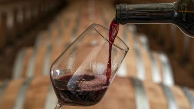 靠葡萄酒投资骗1250万元 主谋潜逃13年终入狱
