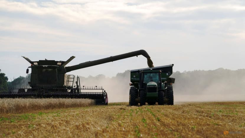 Bangladesh signs US wheat-import deal in bid to curb tariff pressure