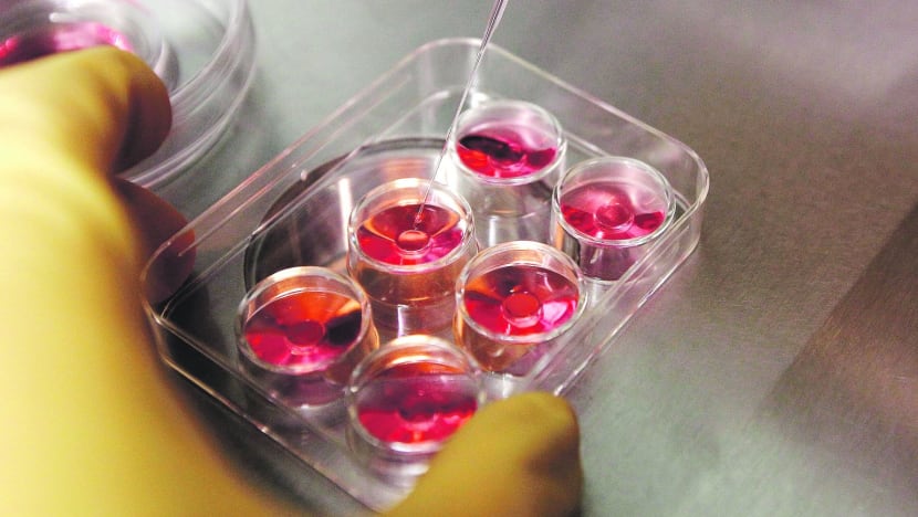 Nanotechnology may provide more effective cancer treatment