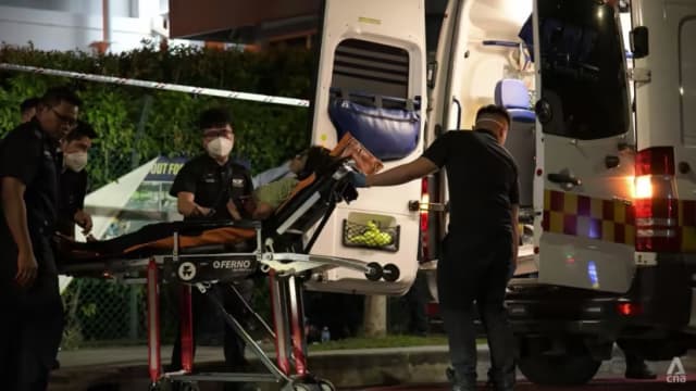 淡滨尼跟警方对峙并用刀刺伤自己 妇女被判六个月监禁