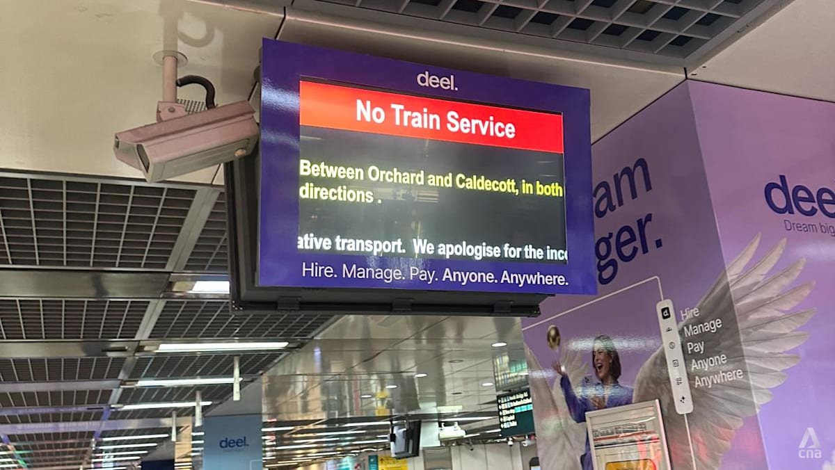 Signalling fault halts train services between Caldecott and Orchard stations on Thomson-East Coast Line: SMRT