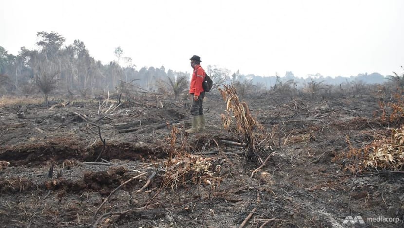 Indonesia bersiap hadapi kebakaran hutan di tengah ancaman kekeringan akibat El Nino Indonesia bersiap hadapi kebakaran hutan di tengah ancaman kekeringan akibat El Nino