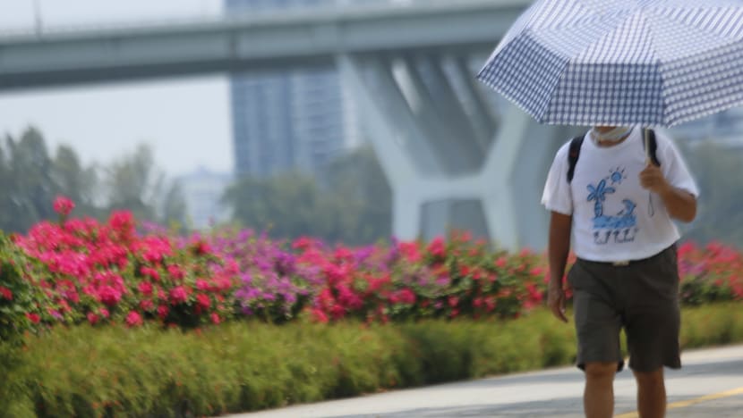 Sunscreen, maybe? Fair and warm conditions expected over CNY period