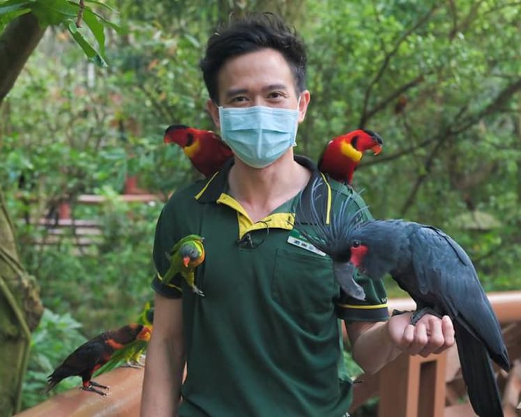 He’s a ‘foster parent’ raising baby birds by hand, helping to save threatened species