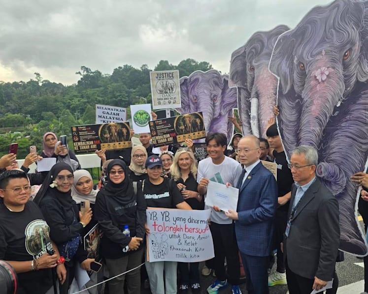 Malaysia’s anti-graft agency launches probe into elephants’ transfer to Japan zoo