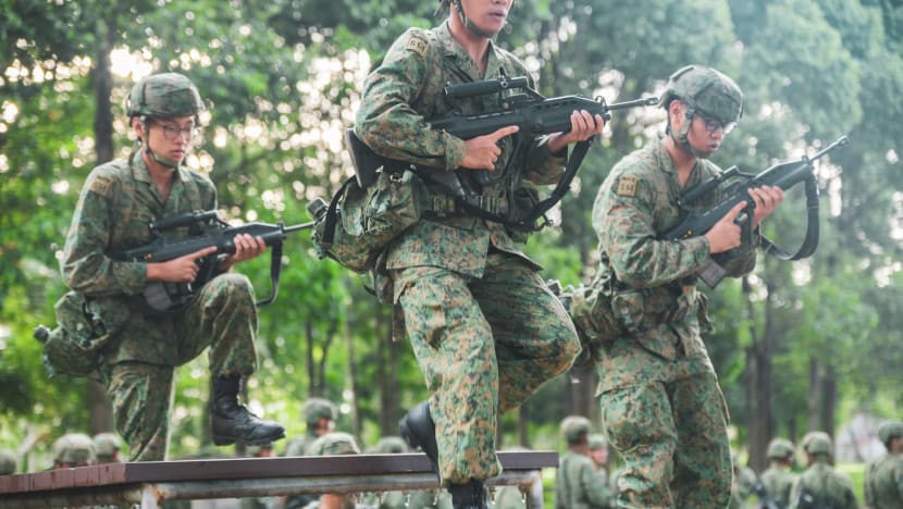 70% of NSFs assigned to vocation they indicated interest in; 'not practical' for scheme to be extended to NSmen 