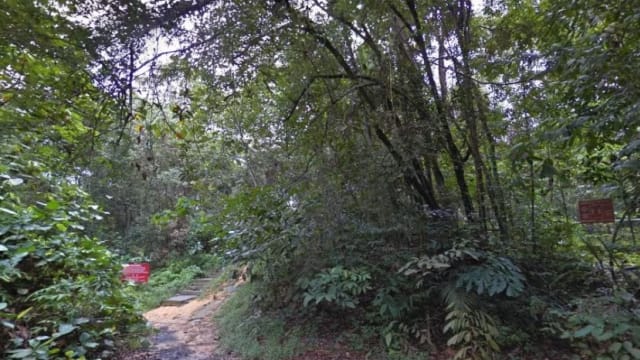 在森林禁区被子弹误伤 男子涉蓄意非法闯入被调查