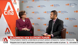 Policy-business collaboration can drive sustainability: Carbon Measures CEO