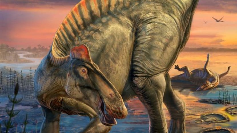 Wyoming dinosaur 'mummies' reveal a surprise: hoofed feet