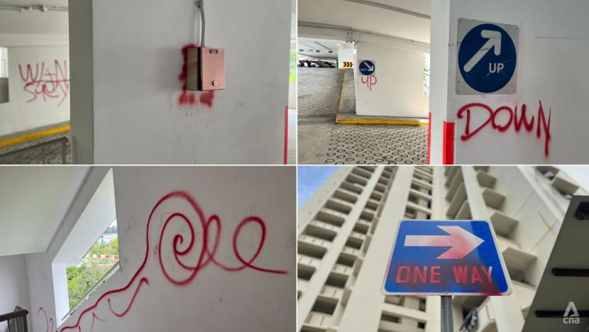 Four teenagers arrested after neighbourhood in Punggol vandalised Four teenagers arrested after neighbourhood in Punggol vandalised