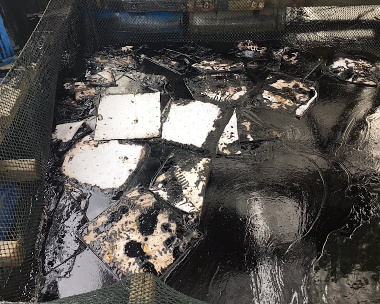 Authorities embark on clean-up along Singapore coastlines after oil spill