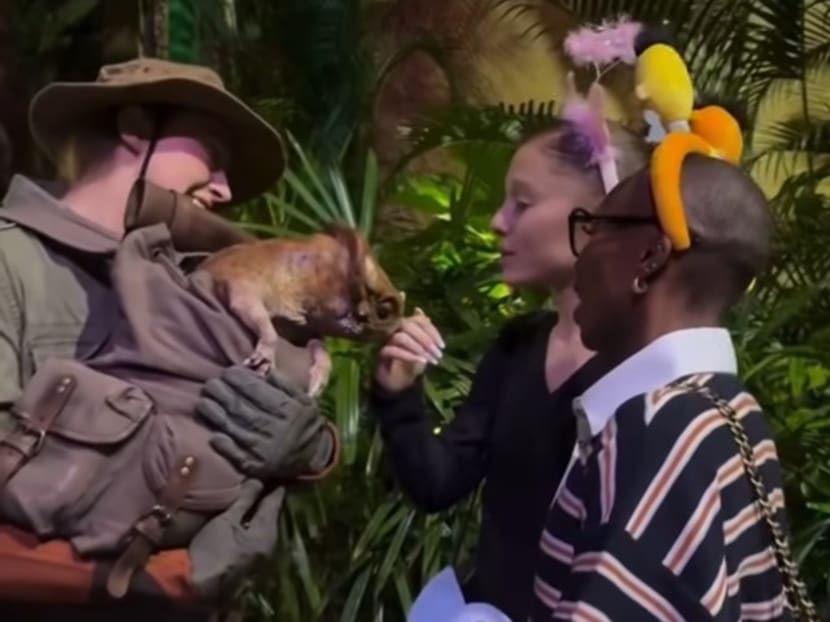 Wicked stars Ariana Grande and Cynthia Erivo’s night at Universal Studios Singapore ahead of sequel premiere