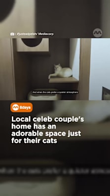 A place designed with their fur babies in mind 🐱 #8dayssg #8dayssglocalent #cat #celebcouples #pet 