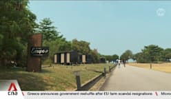 Singapore should focus on premium, design-led experiences for eco-tourism: Expert 