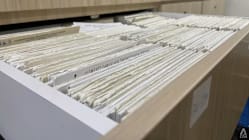 Related article image