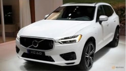 Related article image