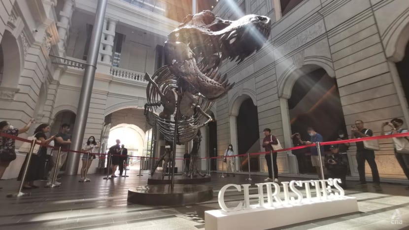 T-Rex skeleton pulled from Hong Kong auction T-Rex skeleton pulled from Hong Kong auction