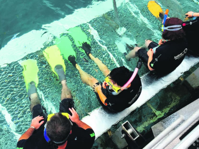 Cairns: More than just the Great Barrier Reef