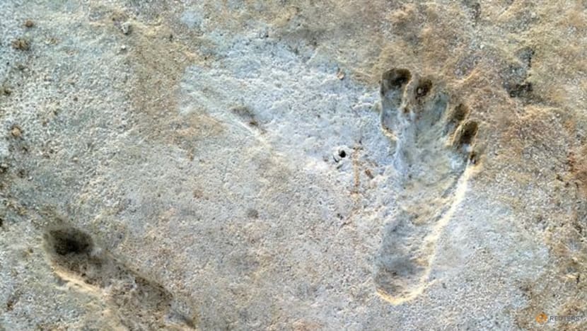 New research strengthens case for age of ancient New Mexico footprints