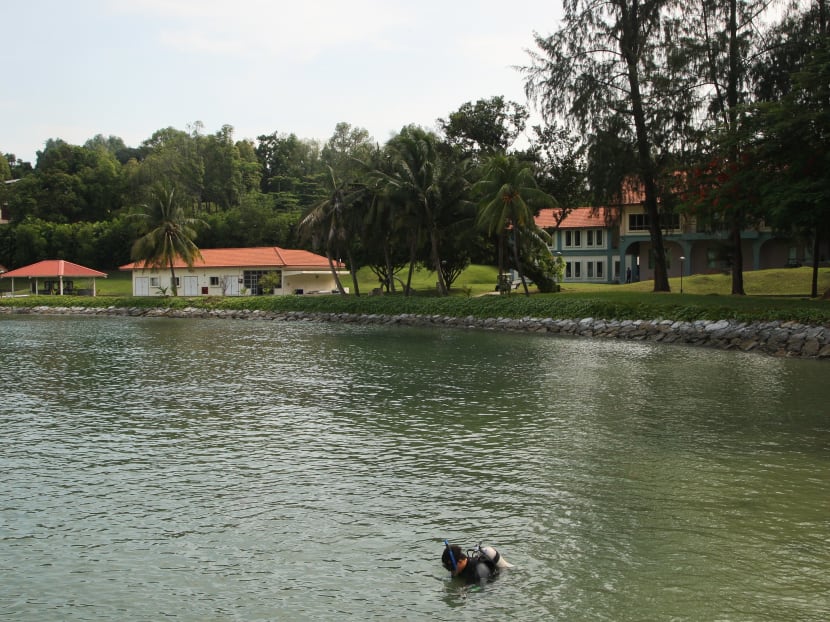 Searching the coast for marine life