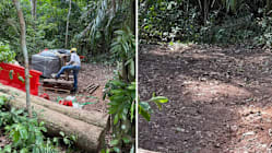 Related article image