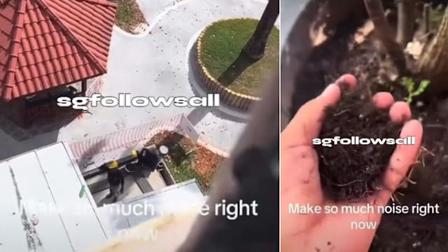 男生向楼下工人抛土 援助组织吁国人尊重客工