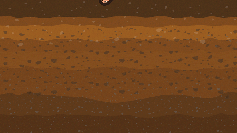 Testing adding story to the block and not reflecting issue 