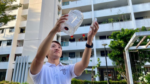 环境局扩大伊蚊绝育试验计划范围 释放400万只沃尔巴克氏菌雄性伊蚊