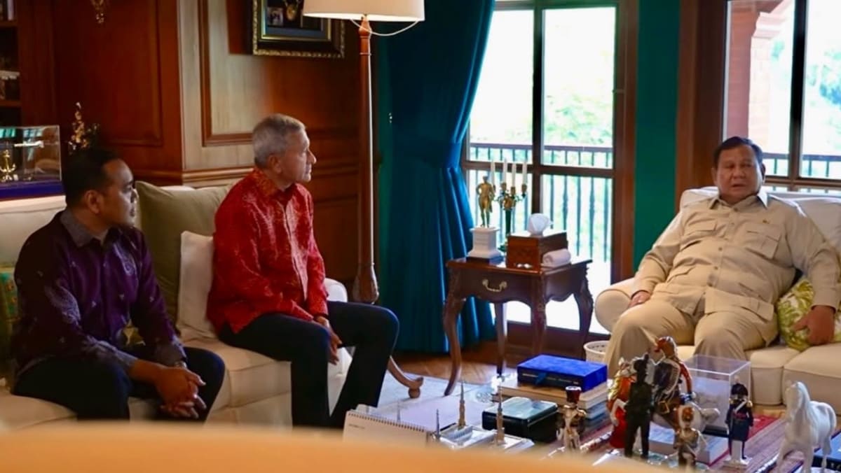Singapore and Indonesia Affirm Commitment to Tackling Haze and Honoring Gas Contracts
