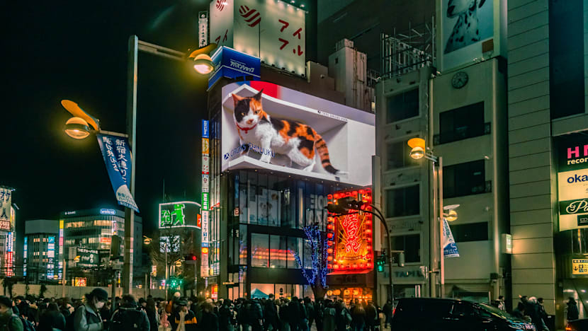 Commentary: Hello, Kitty - Japan’s US$20 billion cat boom 