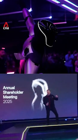 Elon Musk dances with robot after Tesla shareholders approve US$878 billion pay plan