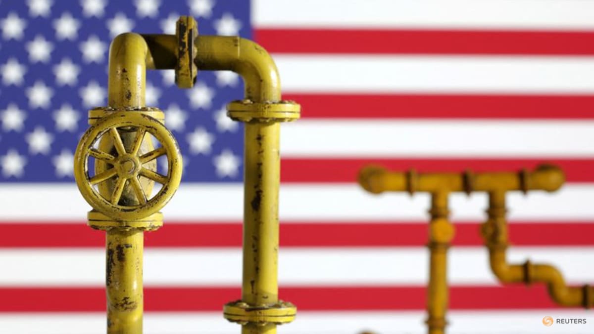 Taiwan to ramp up purchases of US natural gas this year