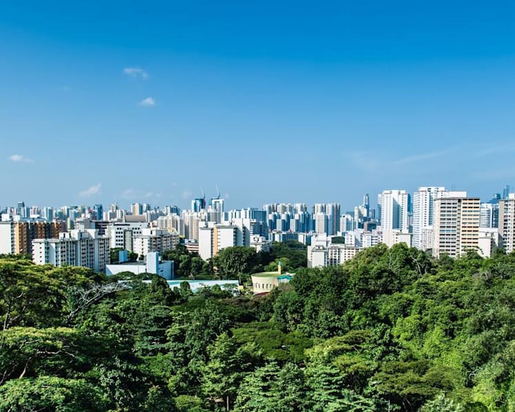 Experts laud ‘ambitious’ S’pore Green Plan 2030; some urge more climate change education