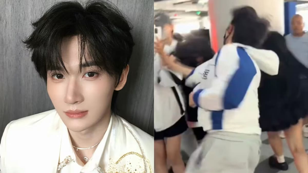 Chinese Idol Yu Yuhan lashes out at obsessive fans after one repeatedly tries to open his car door