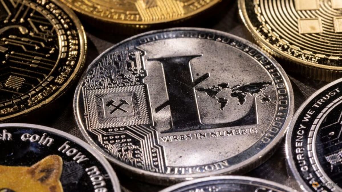 Canary Capital, Bitwise to launch first US altcoin ETFs despite shutdown -  CNA