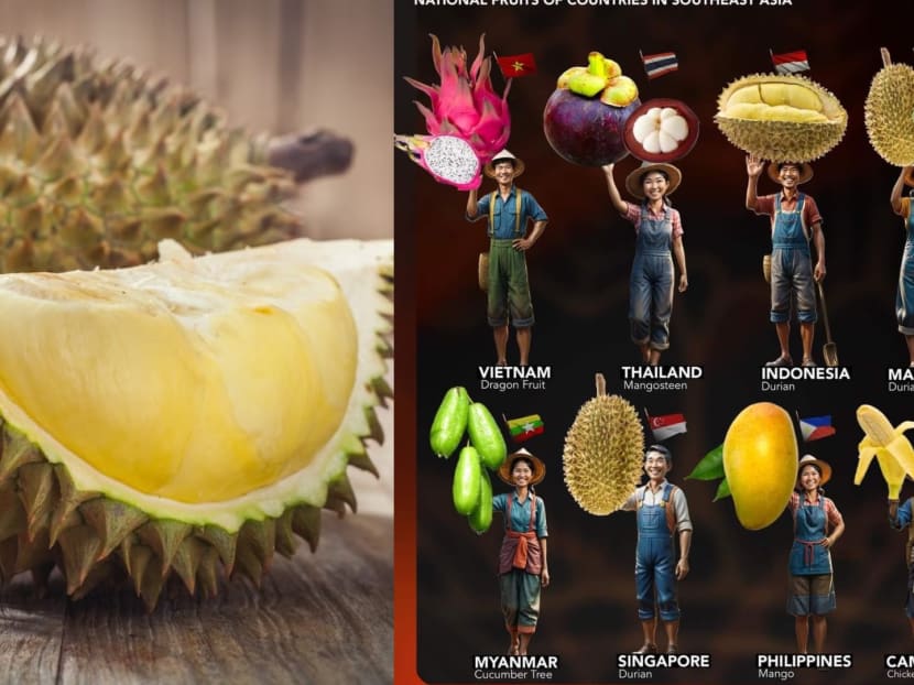 M’sians cry foul over poster depicting durian as S’pore’s national fruit