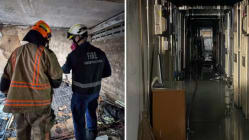 Related article image
