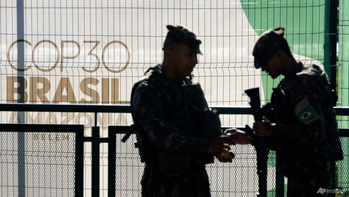 Countries must shift from climate talks to action, says World Energy Council chairman ahead of COP30