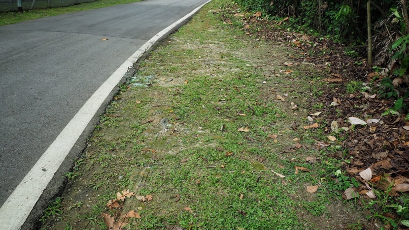 Bodies found near Bukit Timah Nature Reserve: Coroner finds mother was depressed, killed herself and son Bodies found near Bukit Timah Nature Reserve: Coroner finds mother was depressed, killed herself and son