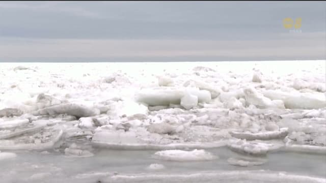 浮冰比去年提早19天 抵达北海道北部海岸 