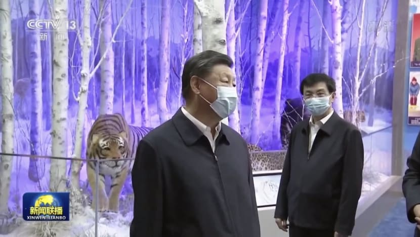 China president Xi Jinping reappears on state TV amid rumours over absence
