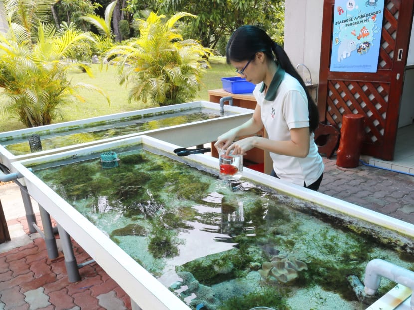 Sisters’ Island Park Public Gallery opens