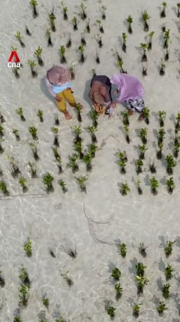 The women fighting for Indonesia’s Pari Island