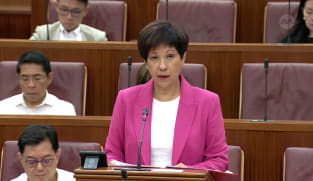 Indranee Rajah on Supplementary Supply (FY2024) Bill 