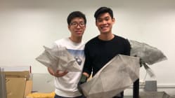 Related article image