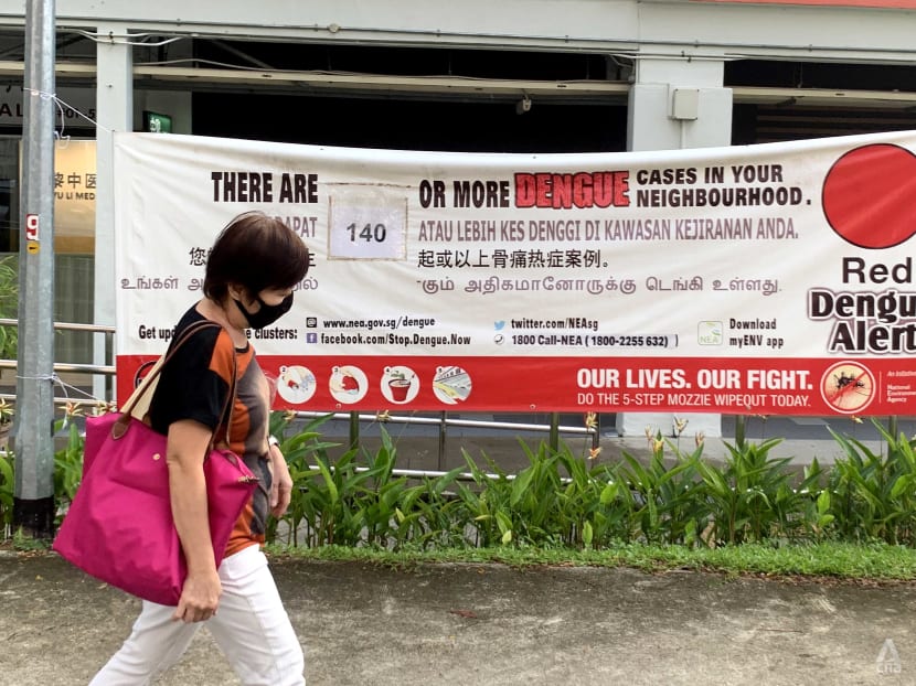 Travelling during the June holidays? Here's how you can mosquito-proof your home