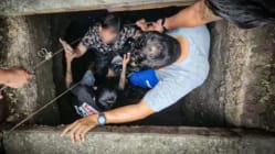Related article image