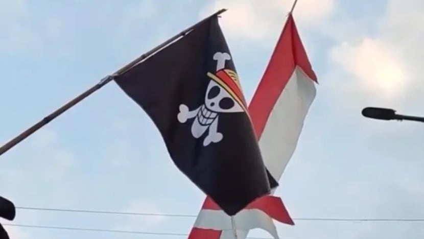 Viral bendera One Piece berkibar jelang HUT ke-80 RI, apa sih artinya?