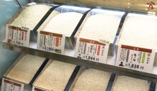 CNA Correspondent - A Tale of Two Rice-Growing Countries: Japan and South Korea 